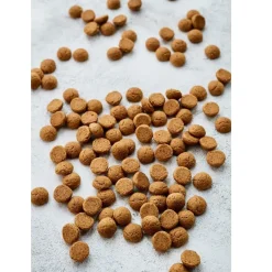 BrandNewCake Pepernoten-mix 400 gram