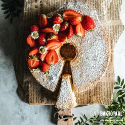 BrandNewCake Wijnsteenzuur 100gr.