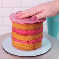 Frost Form Flexi Botercrème Plaat Rond 21,6cm Set/2