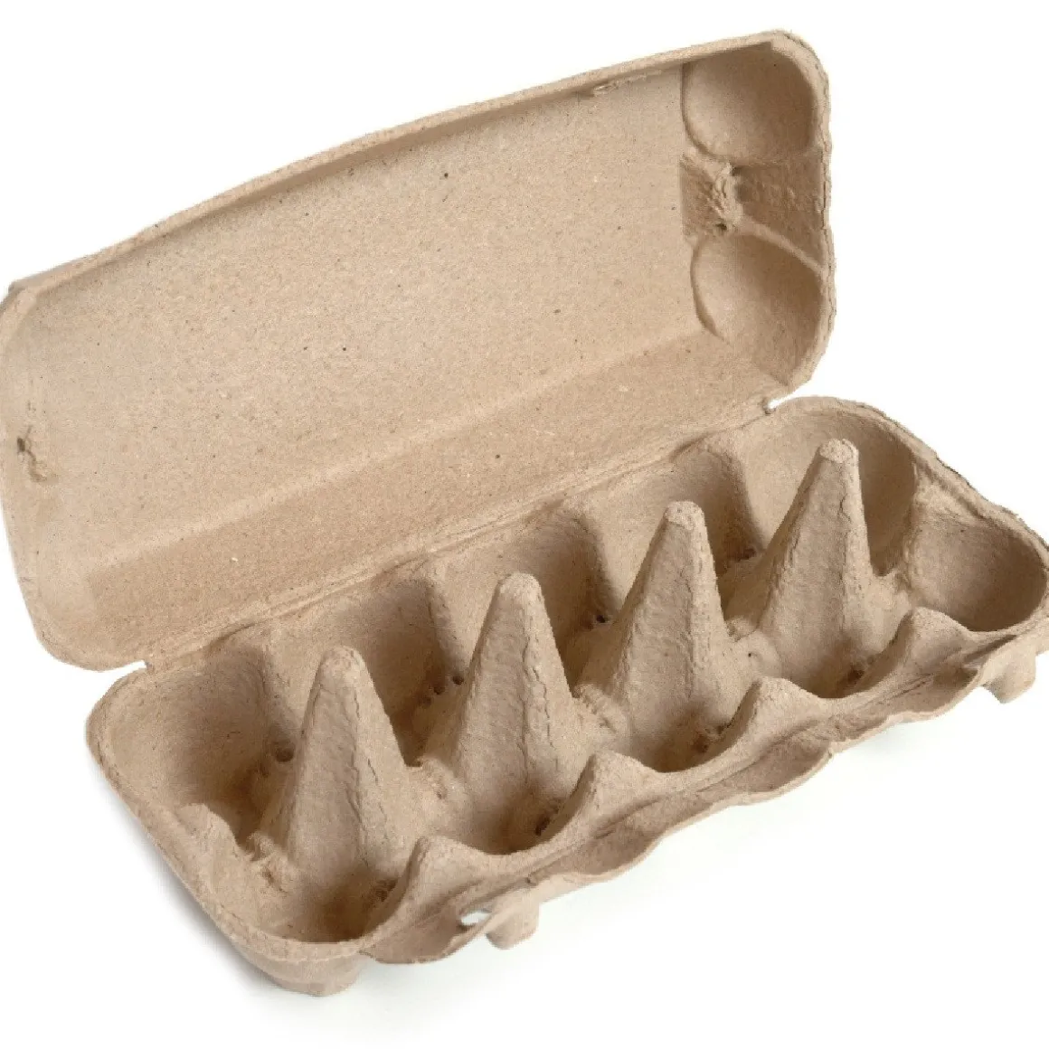 HoM Eierdoos Pulp 10 Eieren 10st.