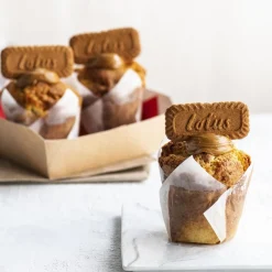Lotus Biscoff Speculoos Koekjes 250g