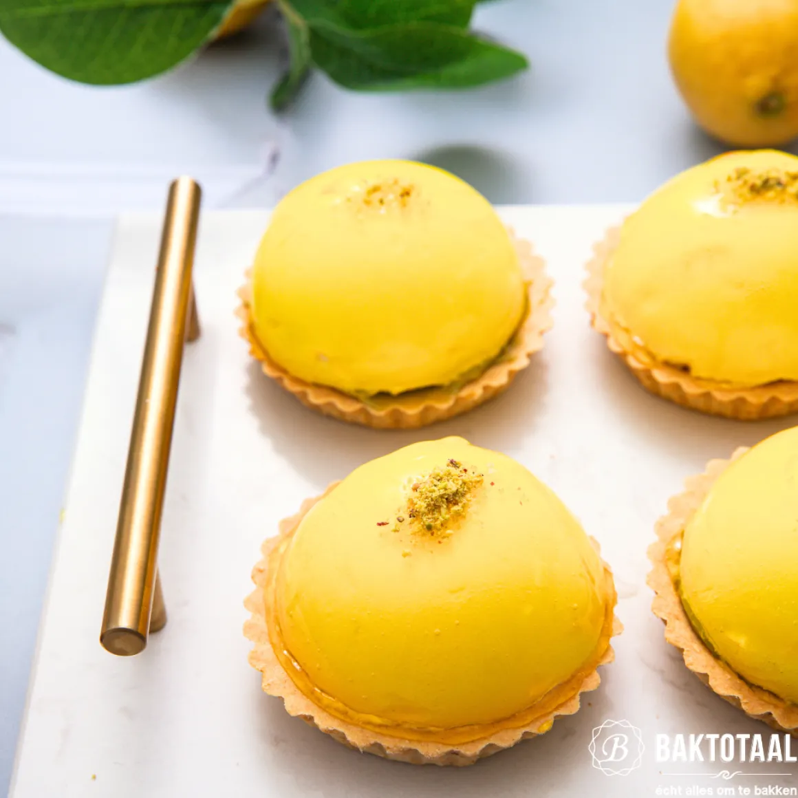 Molen de Hoop Bavarois Citroen 100gr