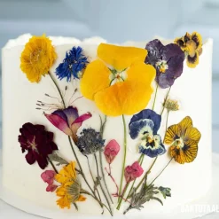 Molen de Hoop Vlaai en Taartfruit Bosvruchten 500 gr.