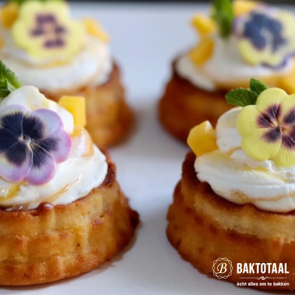 Nordic Ware Shortcake Mandjes Bakvorm