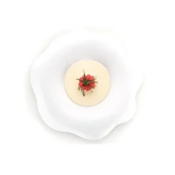 Silikomart Siliconen Vorm Tomaat (12) Ø43x28mm