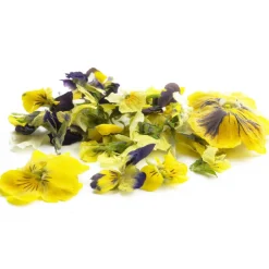 Sosa Gevriesdroogde Violen 5g (290 stuks)