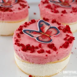 Städter Uitsteker Rond Glad RVS Ø10cm