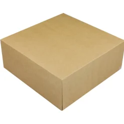 Taartdoos 25x25x10cm. Kraft 50st