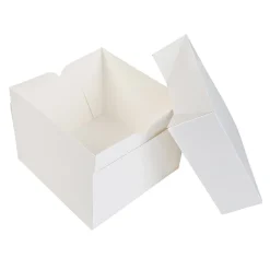 Taartdoos 20x20x15cm. Wit 50st