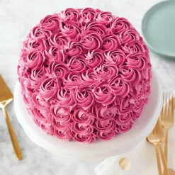 Wilton Performance Taartpan Rond Ø20x5cm