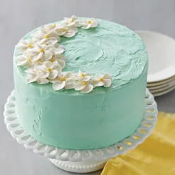 Wilton Performance Taartpan Rond Ø20x5cm